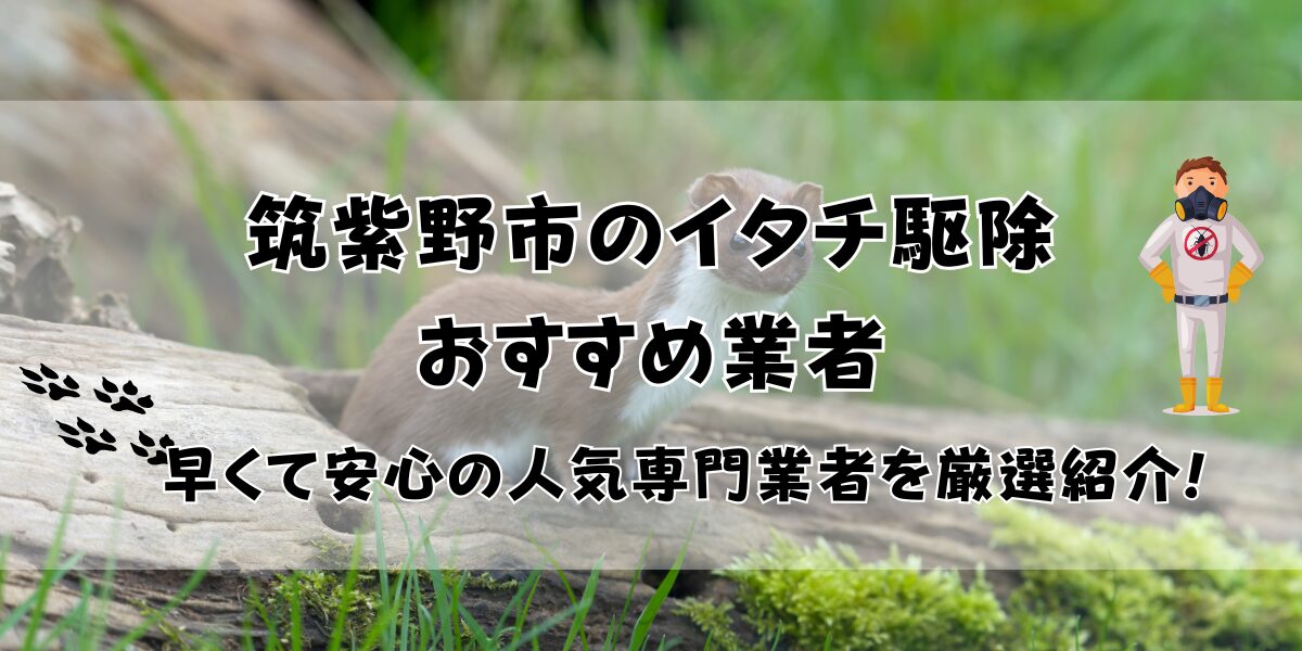 筑紫野市のイタチ駆除業者おすすめ5選！早くて安心の人気専門業者を厳選紹介